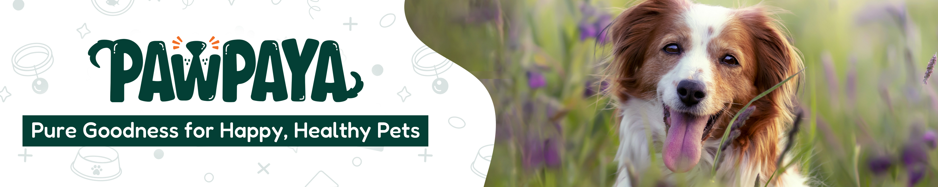PAWPAYA