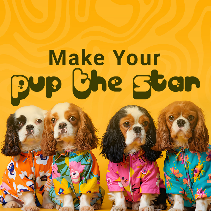 cbe911ec-3b5d-4895-8ab9-e93b933c4a70-