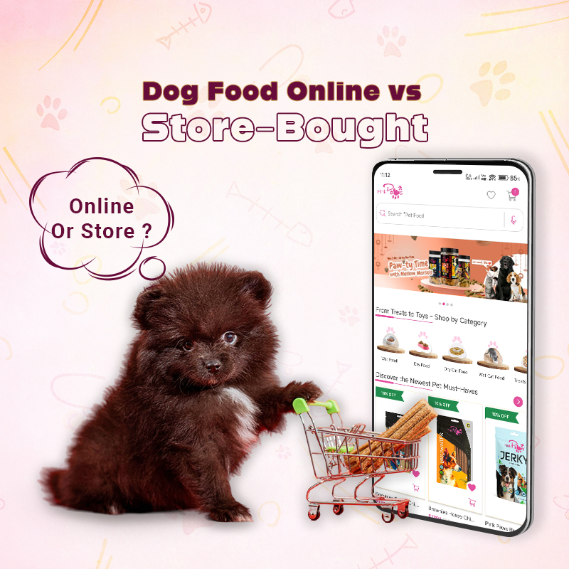 d2e6ce03-6811-4f6d-825f-79bc6e09cfb9-