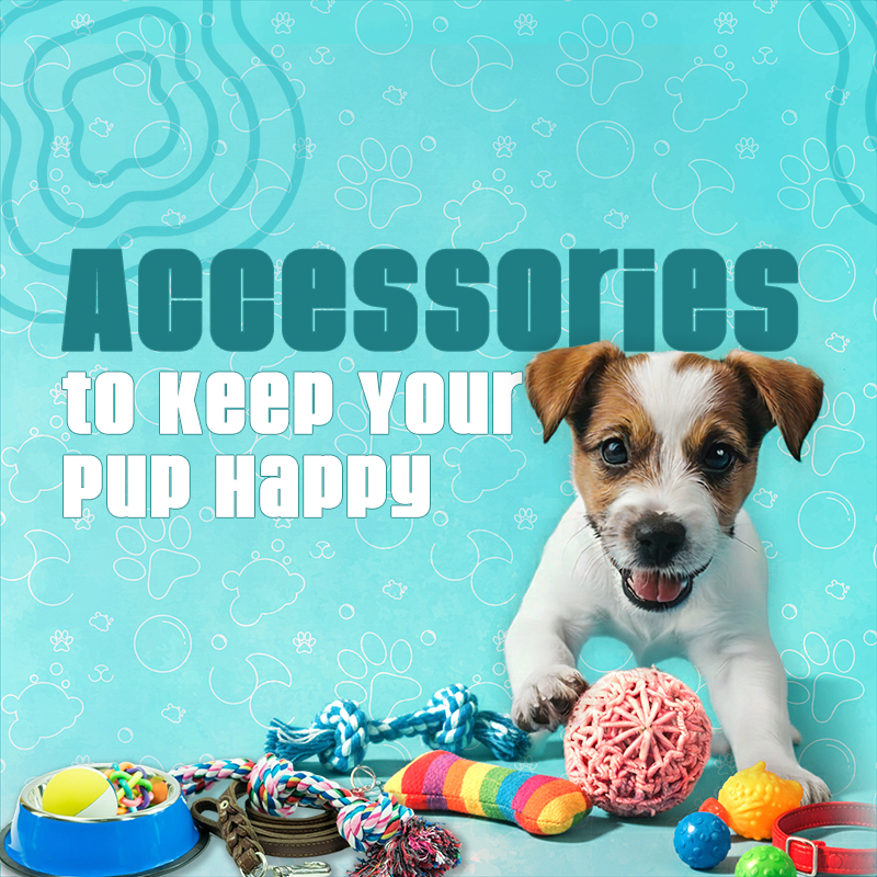 0a60bbf6-40f5-4549-8eb0-ce95e1aa992f-