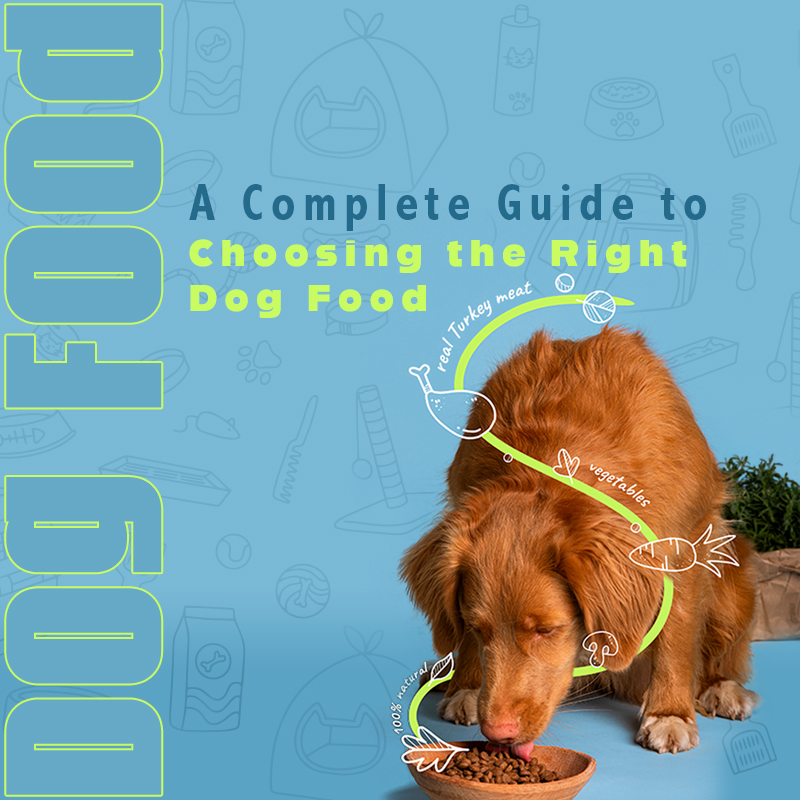 fc9eada3-a4e1-47f4-87e0-471e4152c4e5-