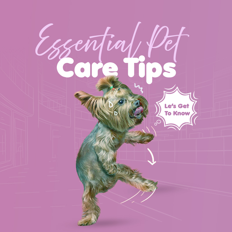 a0e31cd8-9d94-4f9f-9556-c8012955d6c7-