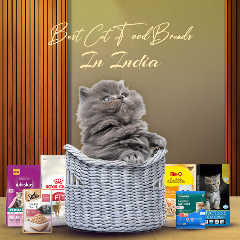 f29d5c16-a987-4012-87b7-f39f75172309-