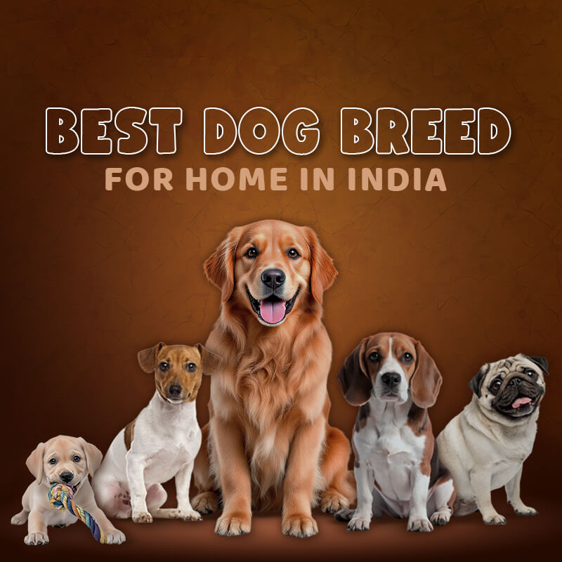 da87ec7d-c4b2-40fa-8601-9bb710273c1b-