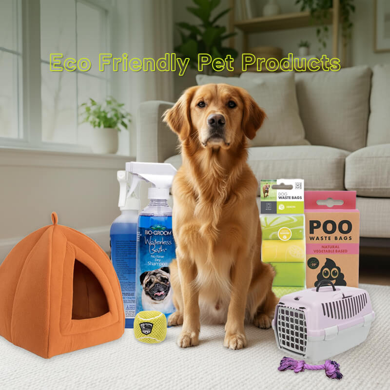 dcb57529-7877-4215-8f2a-44030b33c0e8-