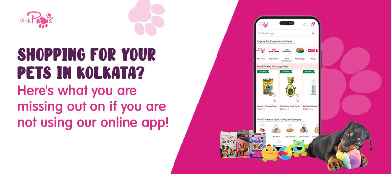 6fcbc996-3851-47e7-bb51-e7f67740f60b-