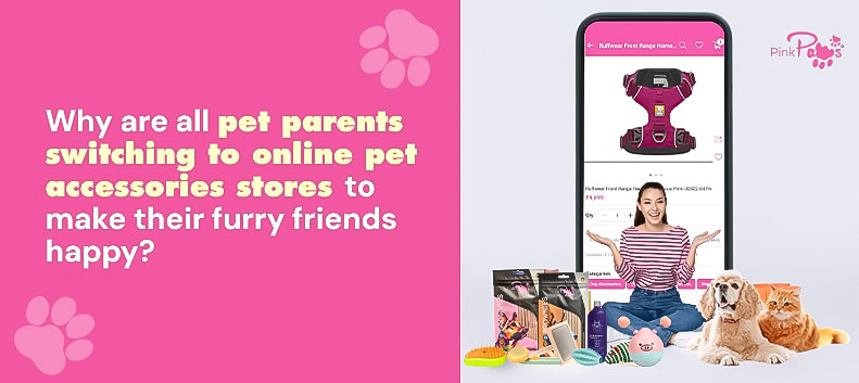 b27e91c8-926d-4ad1-8b08-ca37eeafe4cd-