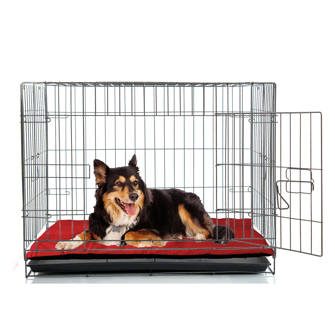cart1