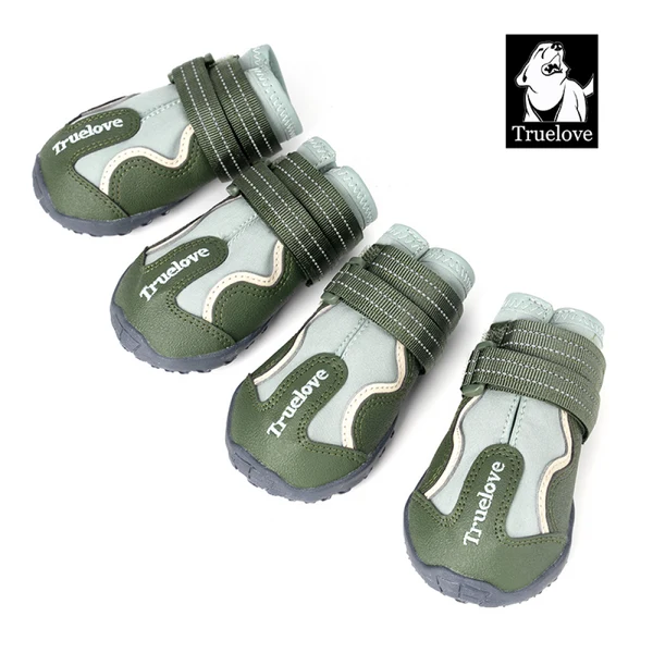 cart1