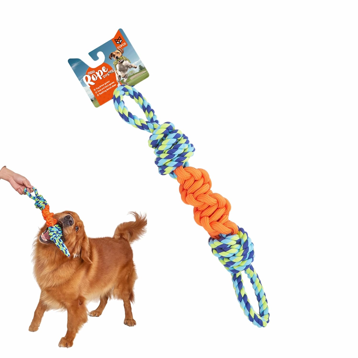 cart1