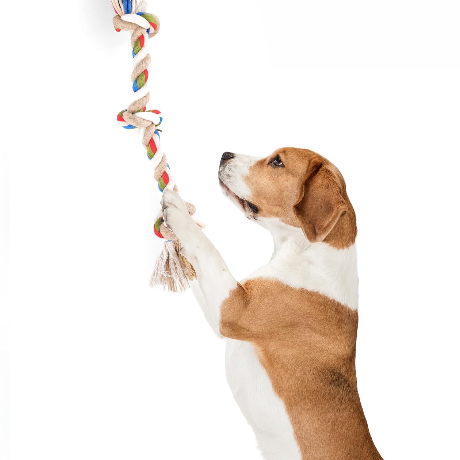 cart1