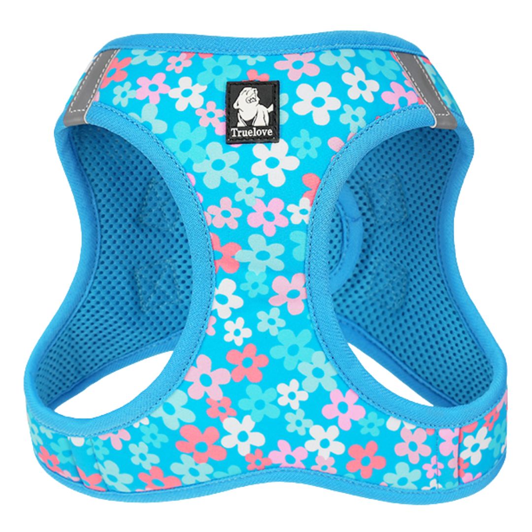 cart1
