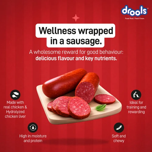 cart1