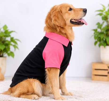 cart1