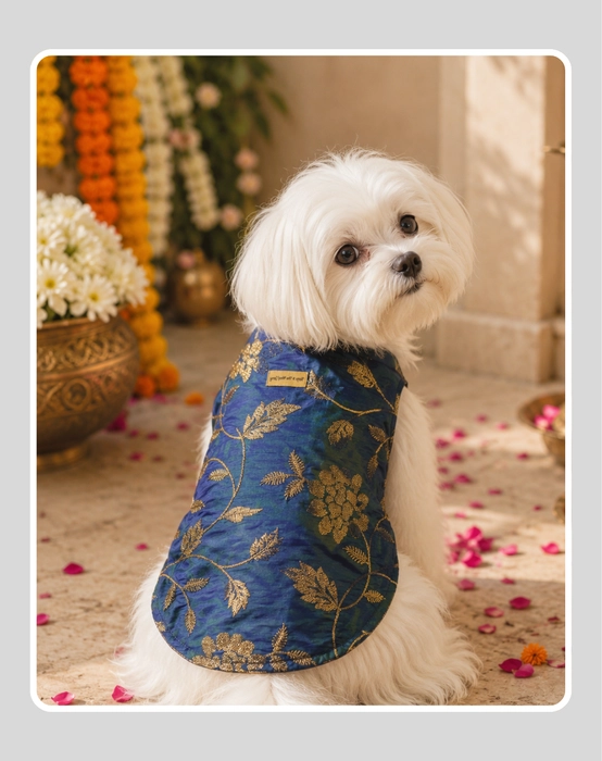 cart1