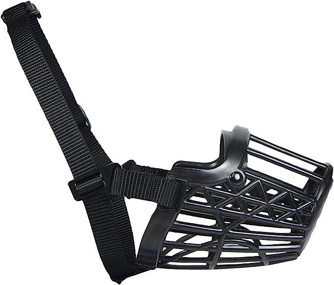 cart1