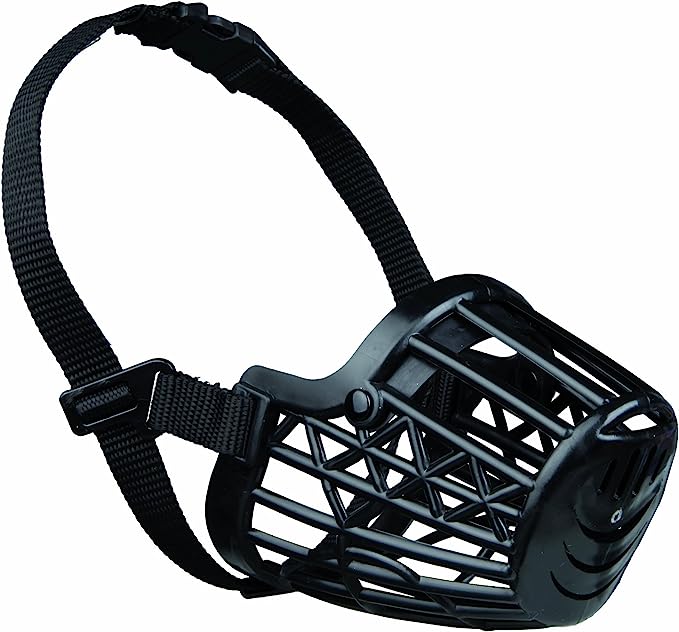 cart1