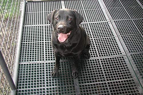 floor matting for dog cage
