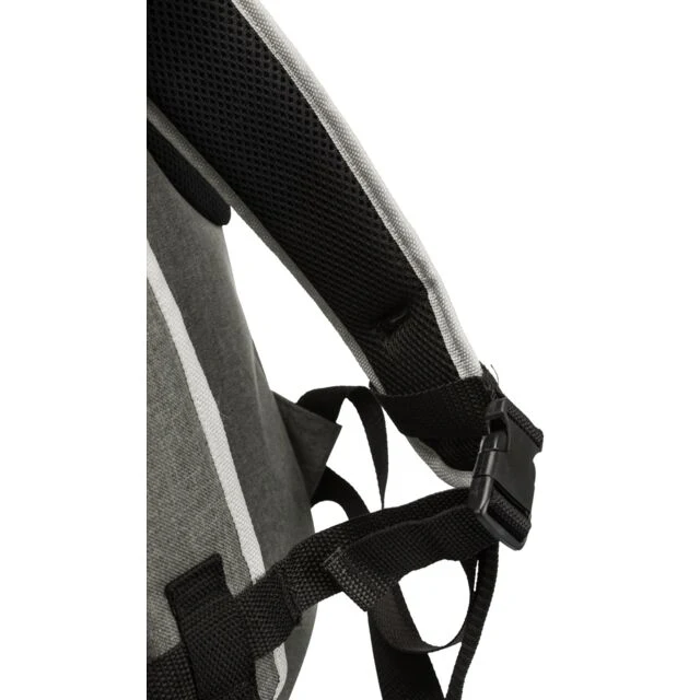 cart1